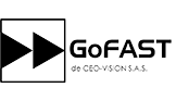 ceo vision