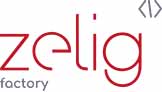 zelig consultants